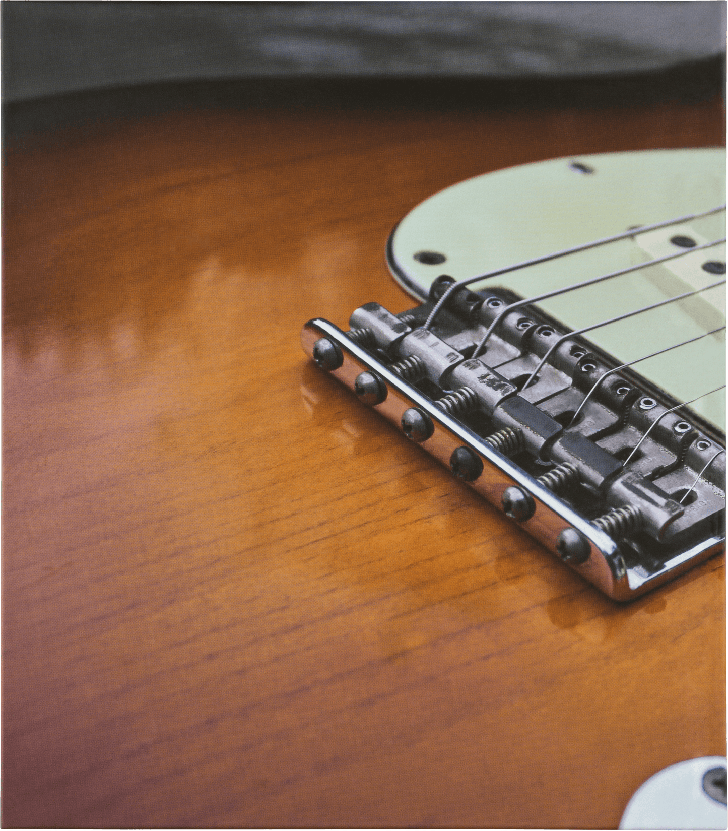 Fender Stratocaster® 70th Anniversary Book