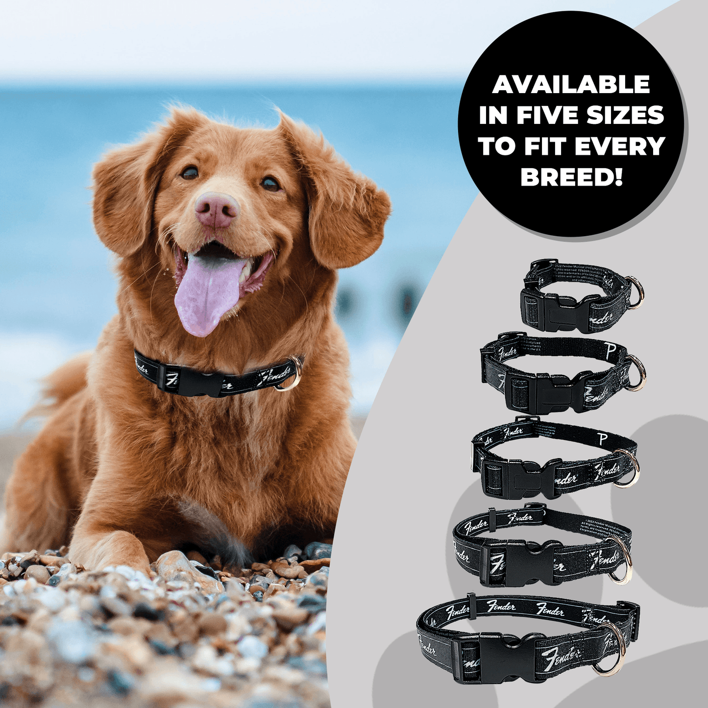 Fender® Running Logo Dog Collar